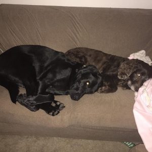 Tank and Ridge
