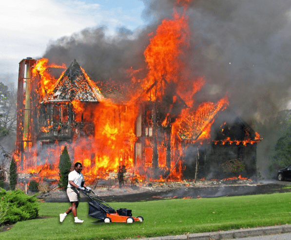 Mowing the Lawn When the House Is On Fire - BSP NOVA