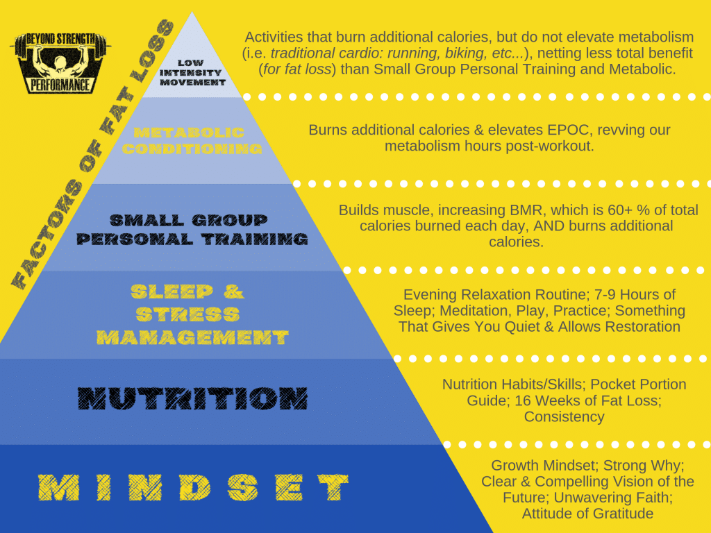 factors of fat loss